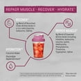 thumbnail image 5 of Sunwarrior Amino Energy Powder with Active Amino Acids for Muscle Recovery, Dragon Fruit, 570g, 5 of 8