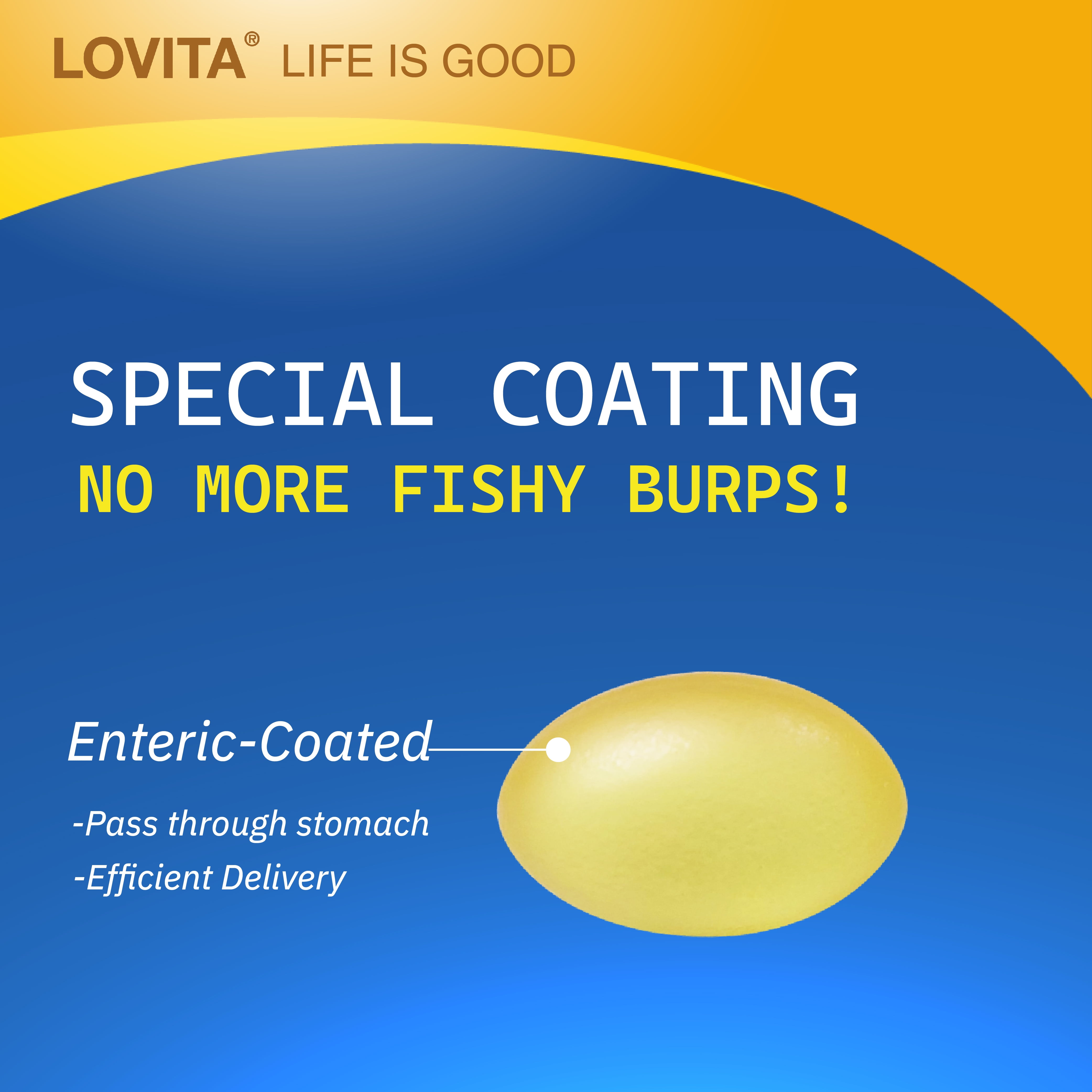 LOVITA Omega-3 Fish Oil Mini Softgels (rTG Form), High Absorption, 90% Omega-3 (EPA & DHA), Burpless, Heart, Brain & Eye Support – 120 Enteric-Coated Softgels (Pack of 3)