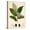 Canvas, variant on Verdant Foliage IV Art Print by Vision Studio, 12" x 16"