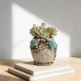 thumbnail image 3 of Cement Animal Planter 5.51X5.11X5.11 Inch Frog Turtle Design Sturdy for Terrace Garden Small Succulent, 3 of 4
