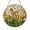Acrylic 3.5 Inch, variant on Sunset Field Dandelion Stained Glass Suncatcher – Artistic Window Art1701