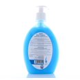 thumbnail image 2 of HEMANI Anti-Bacterial Liquid Hand Wash 500mL - Removes Germs, 2 of 2