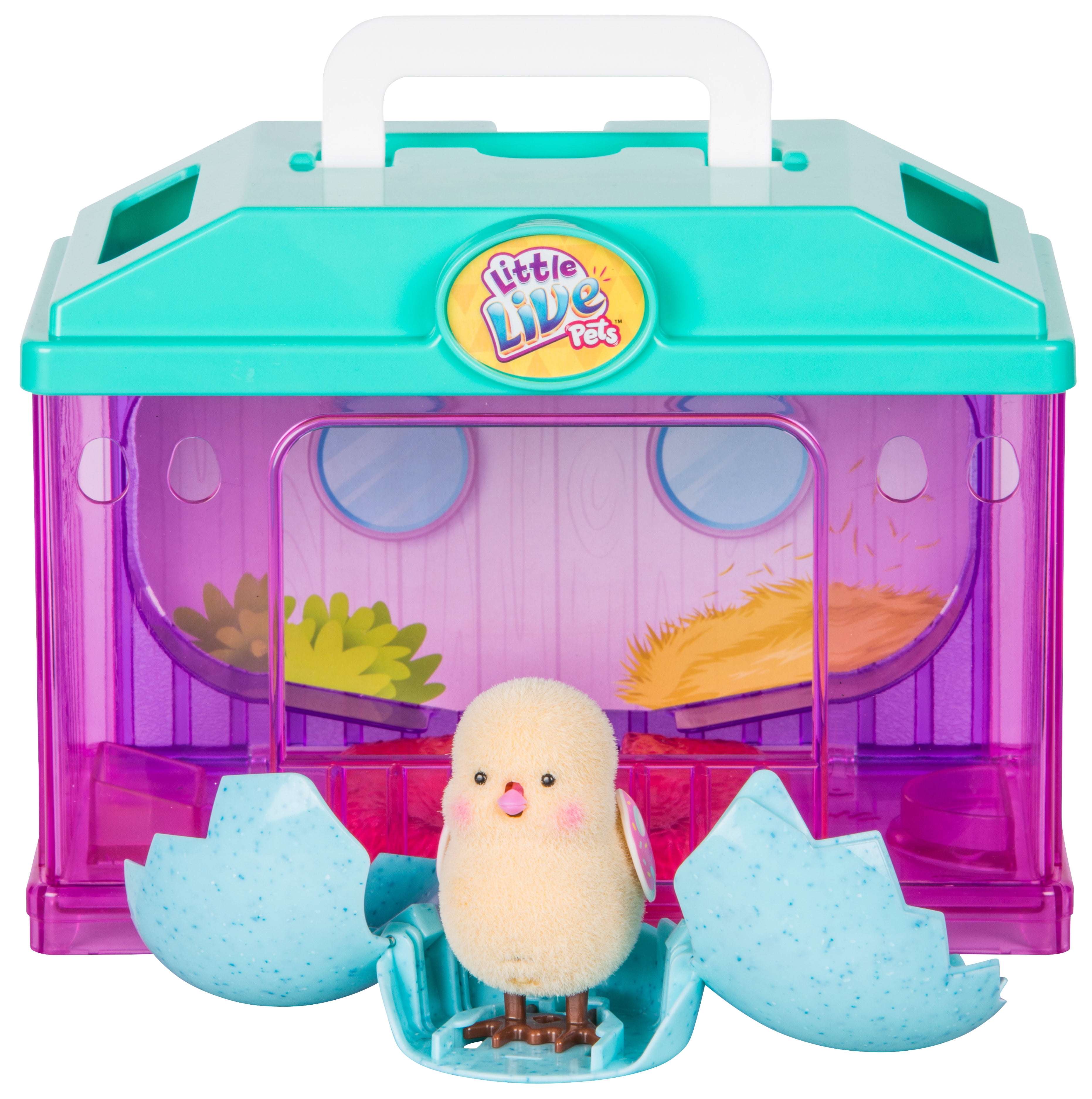 little live pets chick house