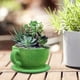 thumbnail image 5 of Cajas de ventana de plantas de flocado hechas a mano, contenedores de plantas de flores pequeñas, flores flocadas taza de té Sharpla macetas, 5 of 8