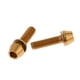 thumbnail image 2 of Paquete de 2 Pernos de Cabeza Cónica para Bicicleta de Aleación de Premium Arandela de Tornillo M5x16 M5x18 M5x20mm Multiusos M5x16 oro Soledad, 2 of 7