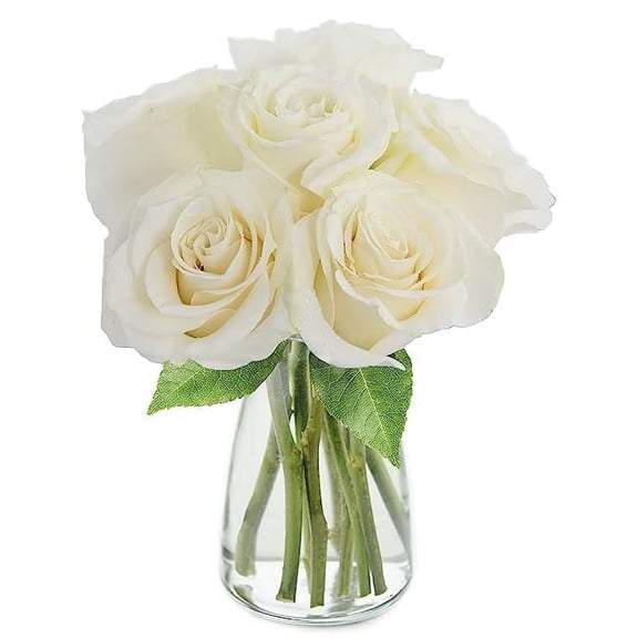 KaBloom : 6 White Roses, 3 greens in vase, Next-Day Delivery, Gift for Every Occasion.