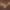 Brunette, variant on L’oreal Paris Casting Creme Gloss Hair#6 Light Brown