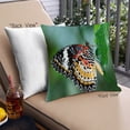 thumbnail image 1 of Ahgly Company Insects Butterfly Coussin Extérieur, 18 Pouces par 18 Pouces, 1 of 6