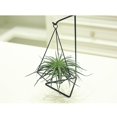 thumbnail image 2 of Decoración De Favores Caseros De Rústica- Tillandsia Air Plant Hanging Metal Planter Holder El 12x10x20cm Gloria Sostenedor del plantador de la planta del aire, 2 of 6