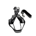 thumbnail image 1 of Arnes con correa para mascota Infanti Pets negro mediano, 1 of 5