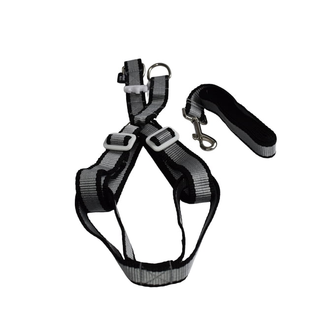 Arnes con correa para mascota Infanti Pets negro mediano