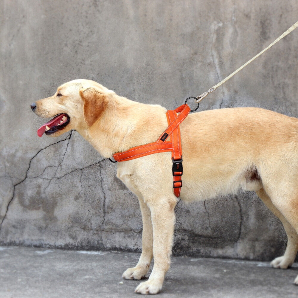 Pet Artist No Pull Dog Pet Dog Harness Reflective Nylon Mesh Padded with Handle Front Leading