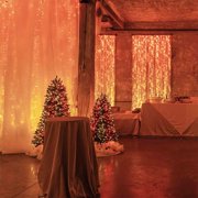 Twinkly TWPLUS-PLC-CU-10X25SPP-T 40 Wide, 6.5 FT Tall RGBW PLUS Light Curtain with 250 Lights (Transparent Wire), IP65-Rated