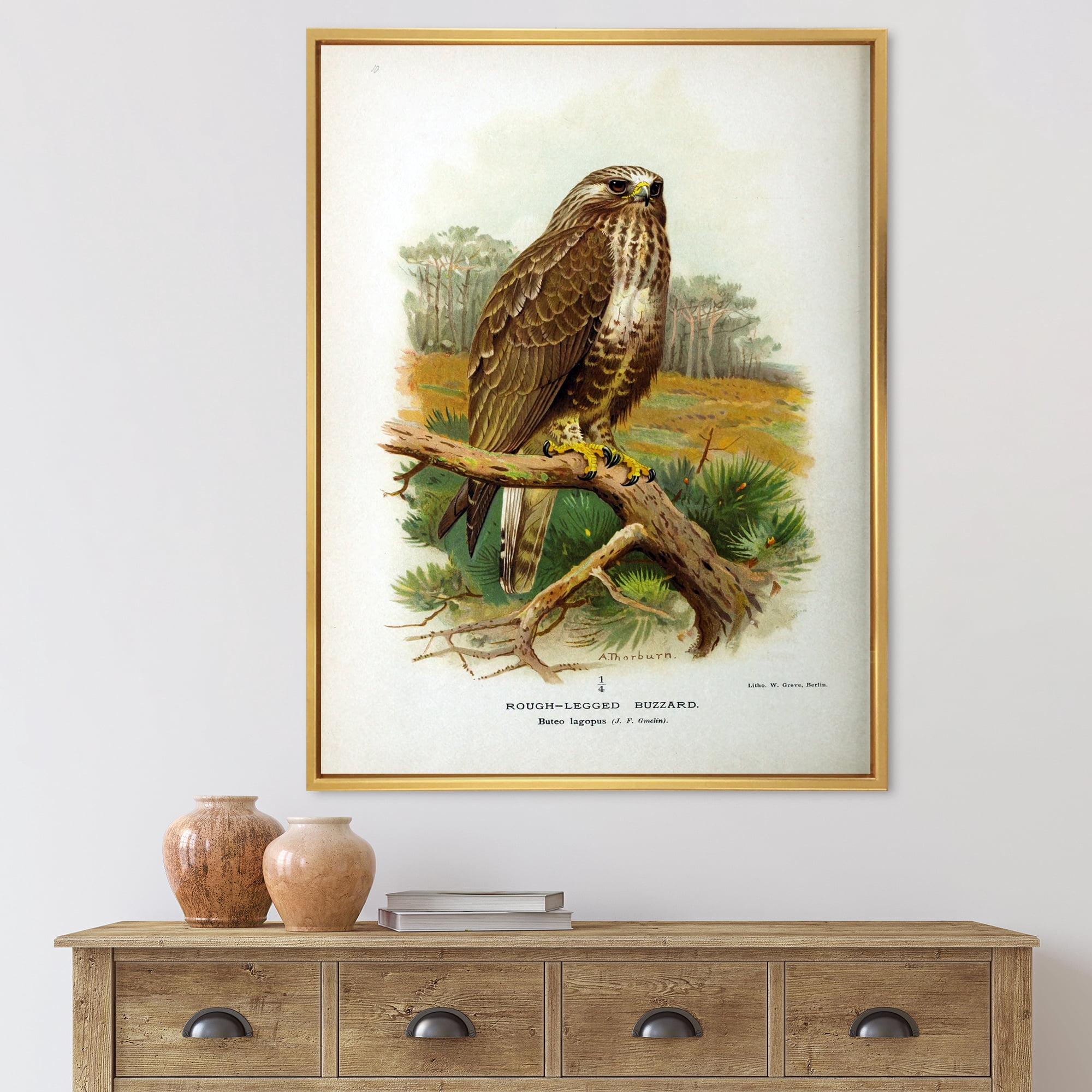 Designart 'Ancient Bird Life IX' Traditional Framed Canvas Wall Art Print