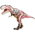 thumbnail image 4 of Tedco Jouets 26651 4D Vision Tyrannosaure Rex Modèle d'Anatomie, 4 of 5