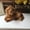 Brown, variant on Realistic Plush Dog Toys, Cute Golden Retriever Stuffed Animal, Birthday Christmas Decor Gift for Family and Friends