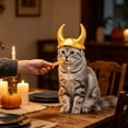 thumbnail image 3 of Ailezt Halloween Decor Halloween Hat For Festive Animal Headwear For Halloween Parties And Photo, 3 of 4