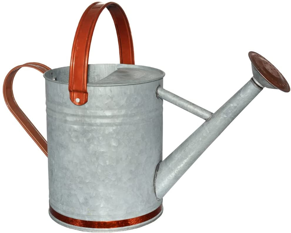 Indoor Small Silver Watering Can Metal Galvanised Steel 1.4L Narrow Spout Plants 
