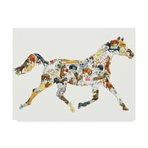 Trademark Fine Art 'Horse Collage' Canvas Art by Louise Tate