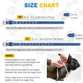 thumbnail image 5 of Leather Dog Collars for Small Medium Dogs with Rivet, Adjustable Studded Cute Dog Collar for Pet Boy Girl Kitten Cats, Bling Spiked Puppy Collars 1Pack, 5 of 8