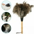 thumbnail image 2 of 13"  Ostrich Feather Duster Durable Dust Collecting Cleaning Tool In Wool Shop #, 2 of 10