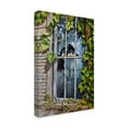 thumbnail image 2 of Trademark Fine Art 'Birds In Broken Window' Canvas Art by Michael Jackson, 2 of 3