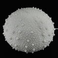 thumbnail image 2 of White Sea Urchin Coastal Accent Lamp 13 Inch, 2 of 4