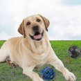 thumbnail image 2 of Mascota Perro Giggle Ball Treat Actividad de sonido Squeaky Chew Toy -yogu120mm, 2 of 2