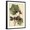 Black Frame, variant on Art.com Petite Dragonflies I Art Print by Vision Studio, 12" x 16"