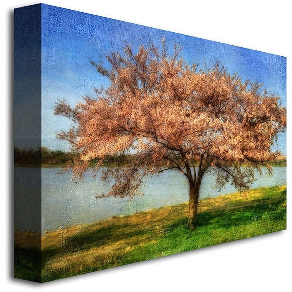 Trademark Fine Art "Cherry Tree" Canvas Wall Art by Lois Bryan