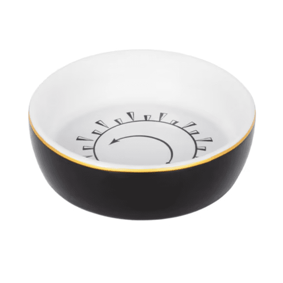 Universal Studios Harry Potter Magical Spells Accio Mini Bowl New With Tag