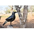 thumbnail image 2 of De Kulture Works Decorative Crow Figurine, Recycled Iron, 2 of 4