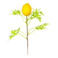 thumbnail image 1 of PELÍCULA PELÍCULA EL HUG TWIG RAMA ORNAMENTES Central de mesa artificial Pick Flower Decoración de Pascua para el jarrón de festivales en el hogar Amarillo, 1 of 8