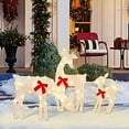 thumbnail image 4 of Light Up Deer, Christmas Yard Decoration, 60 LEDs Lighted Deer Christmas Decoration, Indoor Outdoor 2D Lighted Deer Family for Christmas Yard Decoration Light Up Display, 4 of 7