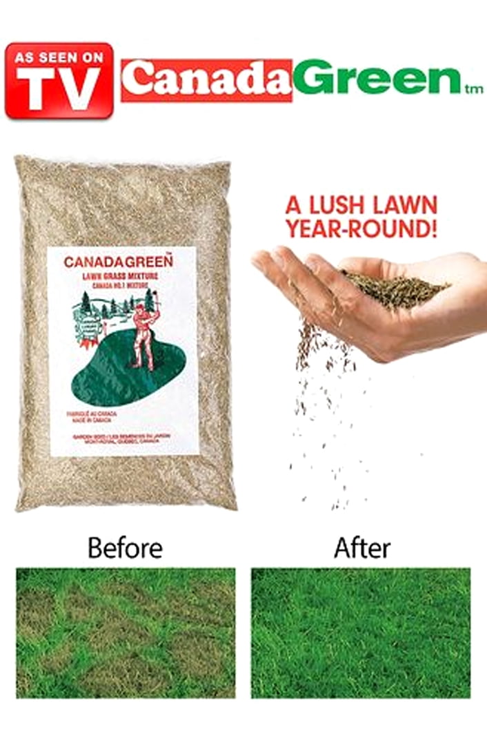 Canada Green Premium Grass Seed-4 Pound Bag