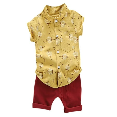 

Luxsea Summer Baby Boys Clothes Set Toddler Casual Button Down Short Sleeve T-shirt Top+Shorts Outfit Sets