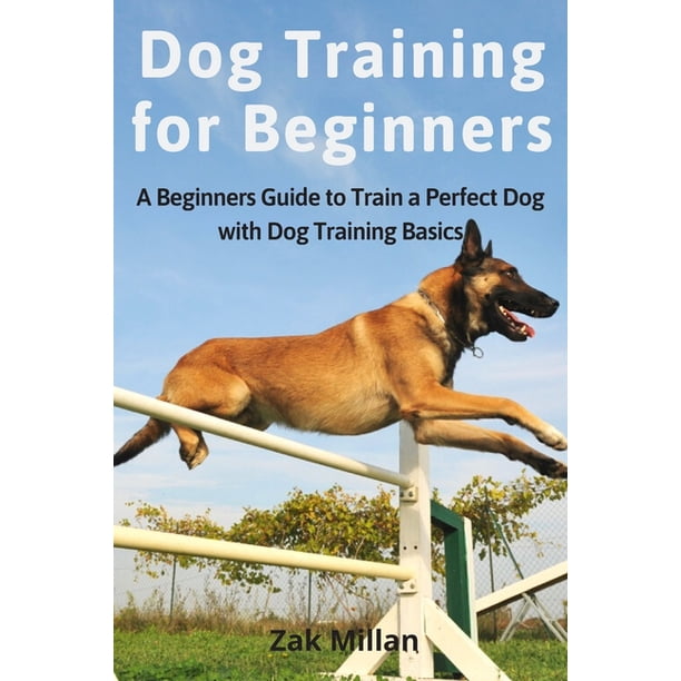 Dog Training for Beginners : A Beginners Guide to Train a Perfect Dog with Dog  Training Basics. Includes Common Training Problems, Service Dog Training,  Dog Agility, Training Tips and Tricks (Paperback) -