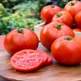 thumbnail image 3 of Bonnie Plants Better Boy Tomato 19.3 oz. 2-Pack, 3 of 12