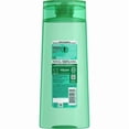 thumbnail image 2 of Garnier Fructis, Hydra Purify Shampoo, 2 of 2
