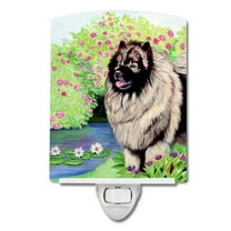 Caroline's Treasures 7074CNL Keeshond Ceramic Night Light, 6x4x3", multicolor