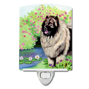 Caroline's Treasures 7074CNL Keeshond Ceramic Night Light, 6x4x3", multicolor