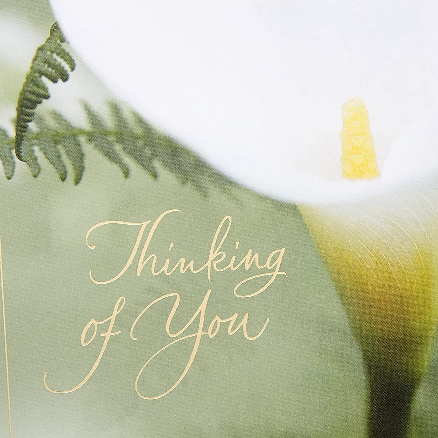 CRD MULTIP  CLS UP P - FRENCH