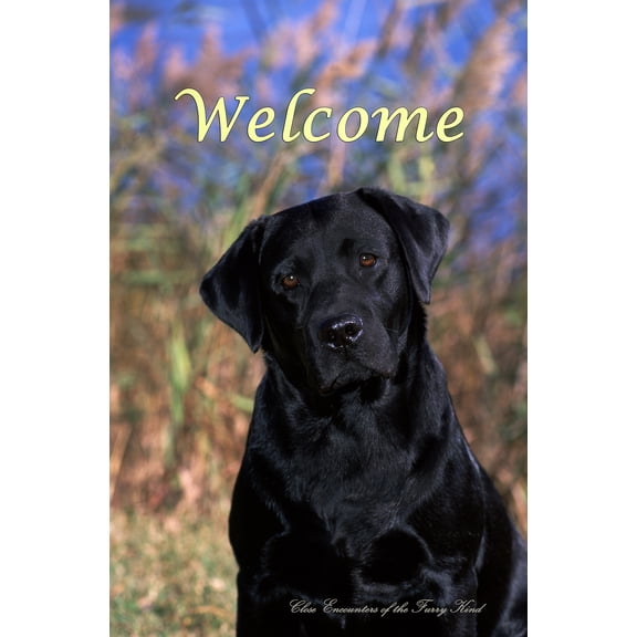 Black Labrador - Best of Breed CEFK Welcome Photo Garden Flag