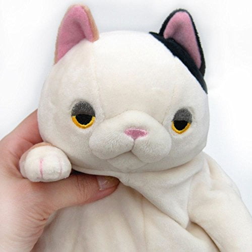 mochineko cat
