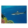 thumbnail image 2 of Shark Cutting Board, Tropical Underwater World with Fishes Swimming and Coral Reef Serene Wildlife Picture, Decorative Tempered Glass Cutting and Serving Board, Large Size, Multicolor, by Ambesonne, 2 of 5
