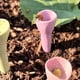 thumbnail image 3 of Taza para beber insectos y abejas alimentador de agua para abejas taza para beber polinizador con forma de flor con taza para guardería y soporte suministros de apicultura, 3 of 5