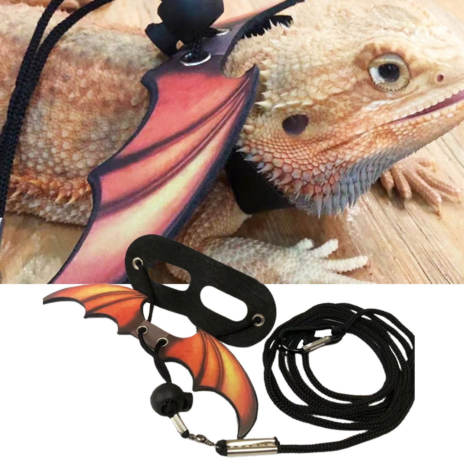 Bearded dragon leashes clearance and harnesses