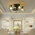 thumbnail image 6 of Aukfa Caged Ceiling Fans with Lights and Remote, 18.5" Low Profile Bladeless Caged Fan with 6 Speeds and Timing, 6 of 8