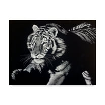 Trademark Fine Art 'Burning Bright Tiger' Canvas Art by Julie T. Chapman