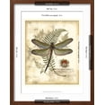 thumbnail image 5 of Art.com Regal Dragonfly I Art Print by Vision Studio, Brown Frame Wall Art, 17" x 21", 5 of 5